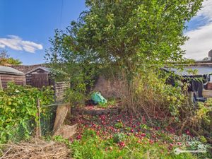 Garden- click for photo gallery